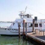 calypso